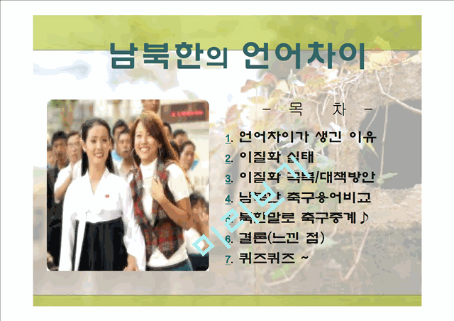 남북한의 언어차이   (2 페이지)